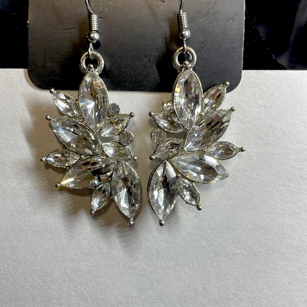 Silver Statement Earrings